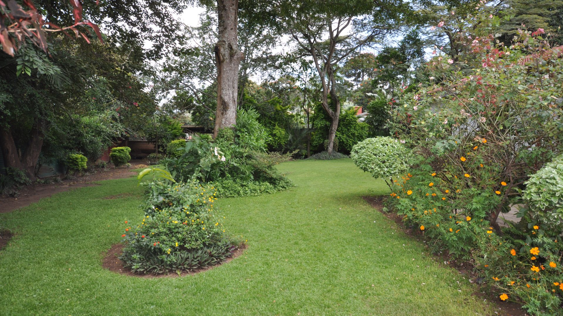 Garden of the Four Bedroom Furnished House in Olorien by Tanganyika Estate Agents