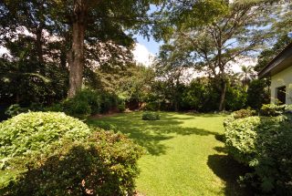 Garden of the Four Bedroom Furnished House in Olorien by Tanganyika Estate Agents