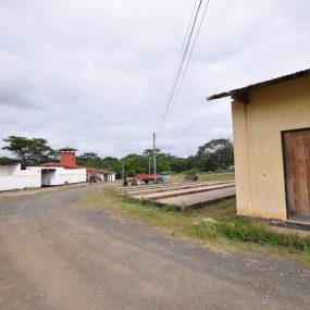 Drive way and buildings of the Warehouses & Offices for Rent in Burka Arusha by Tanganyika Estate Agents