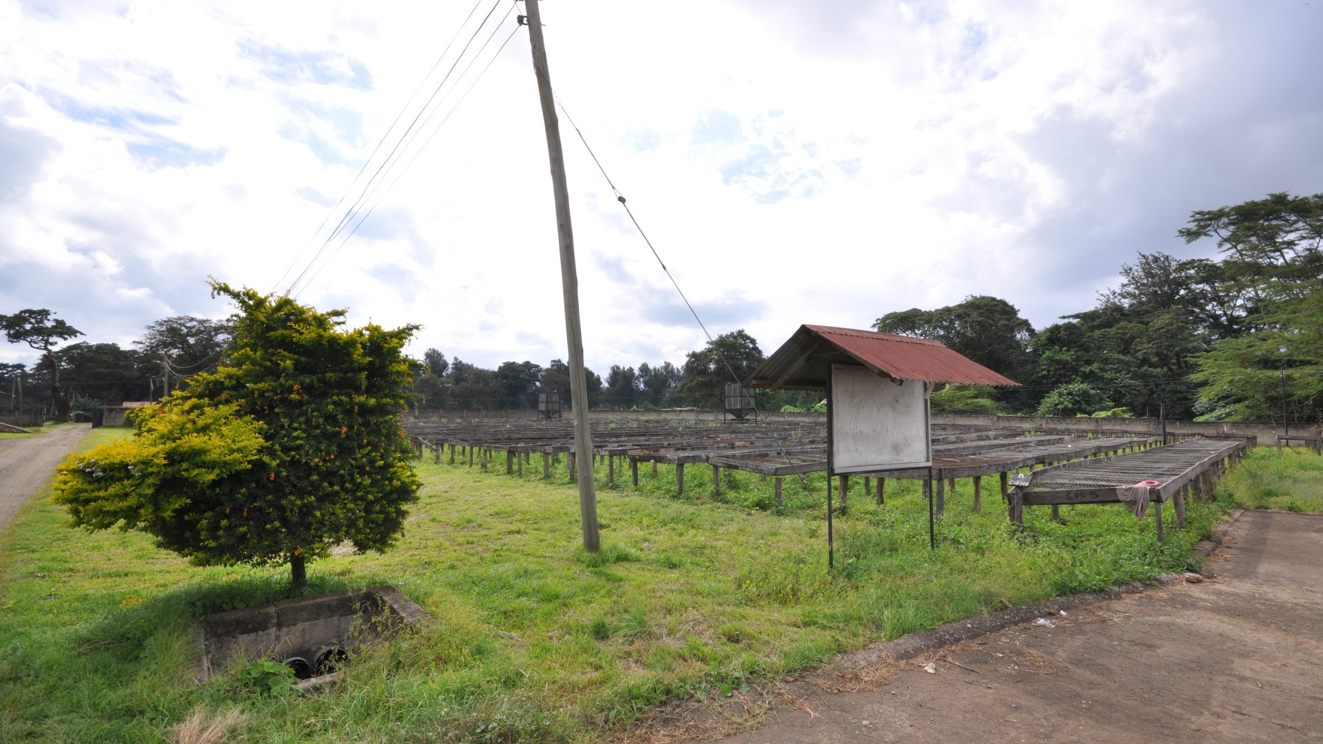 Outdoors of the Warehouses & Offices for Rent in Burka Arusha by Tanganyika Estate Agents