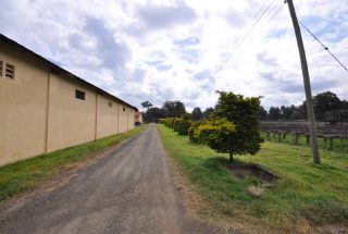 Outside View of the Warehouses & Offices for Rent in Burka Arusha by Tanganyika Estate Agents