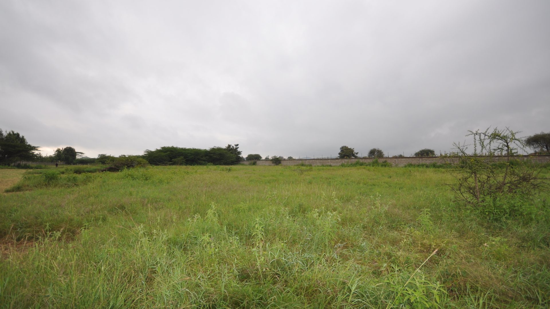 5.2 Acres of Land for Sale in Kisongo, Arusha