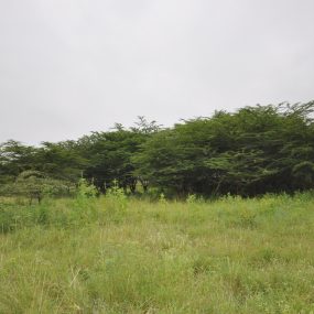 The 5.2 Acres of Land for Sale in Kisongo, Arusha by Tanganyika Estate Agents