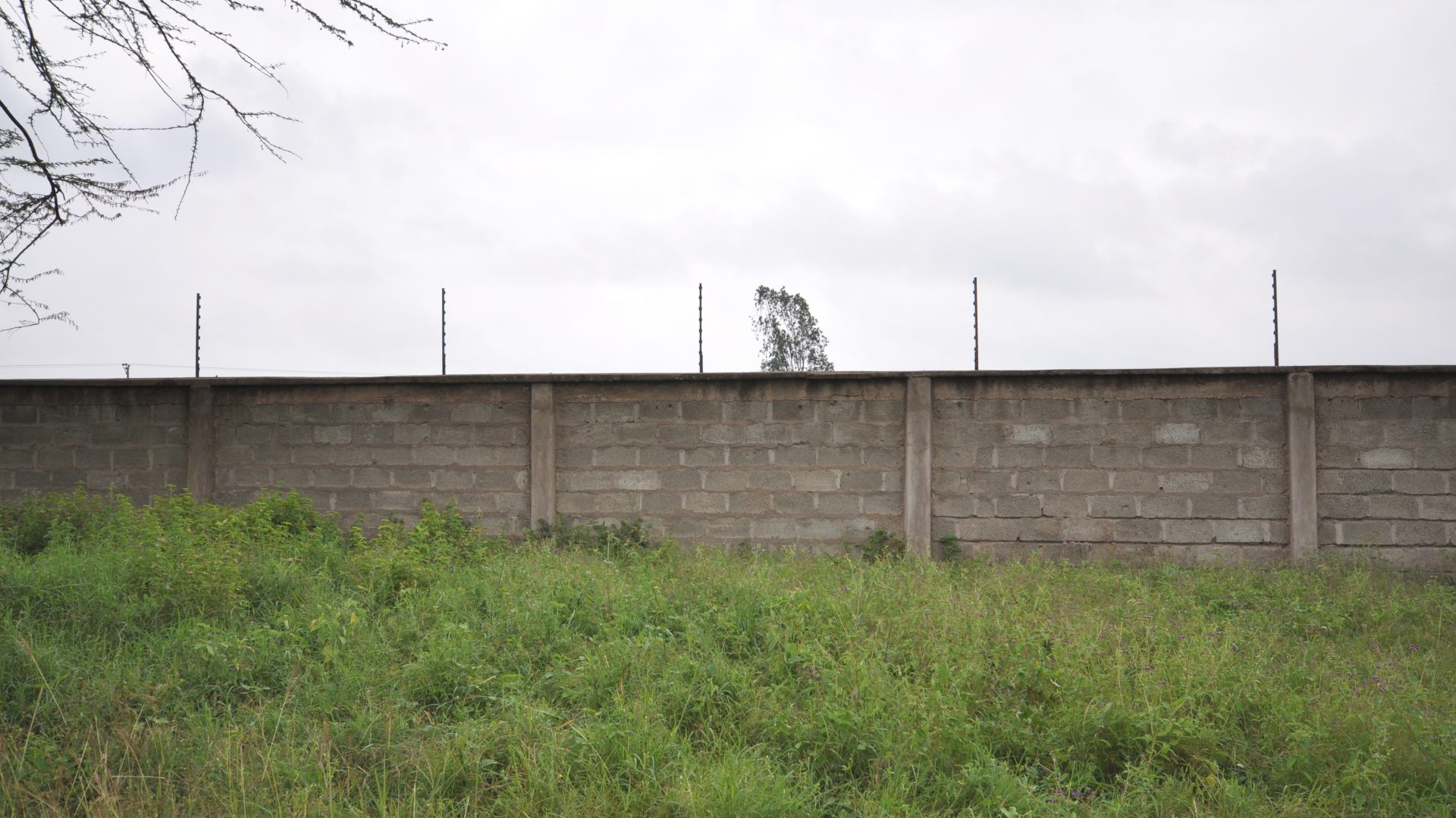 The 5.2 Acres of Land for Sale in Kisongo, Arusha by Tanganyika Estate Agents