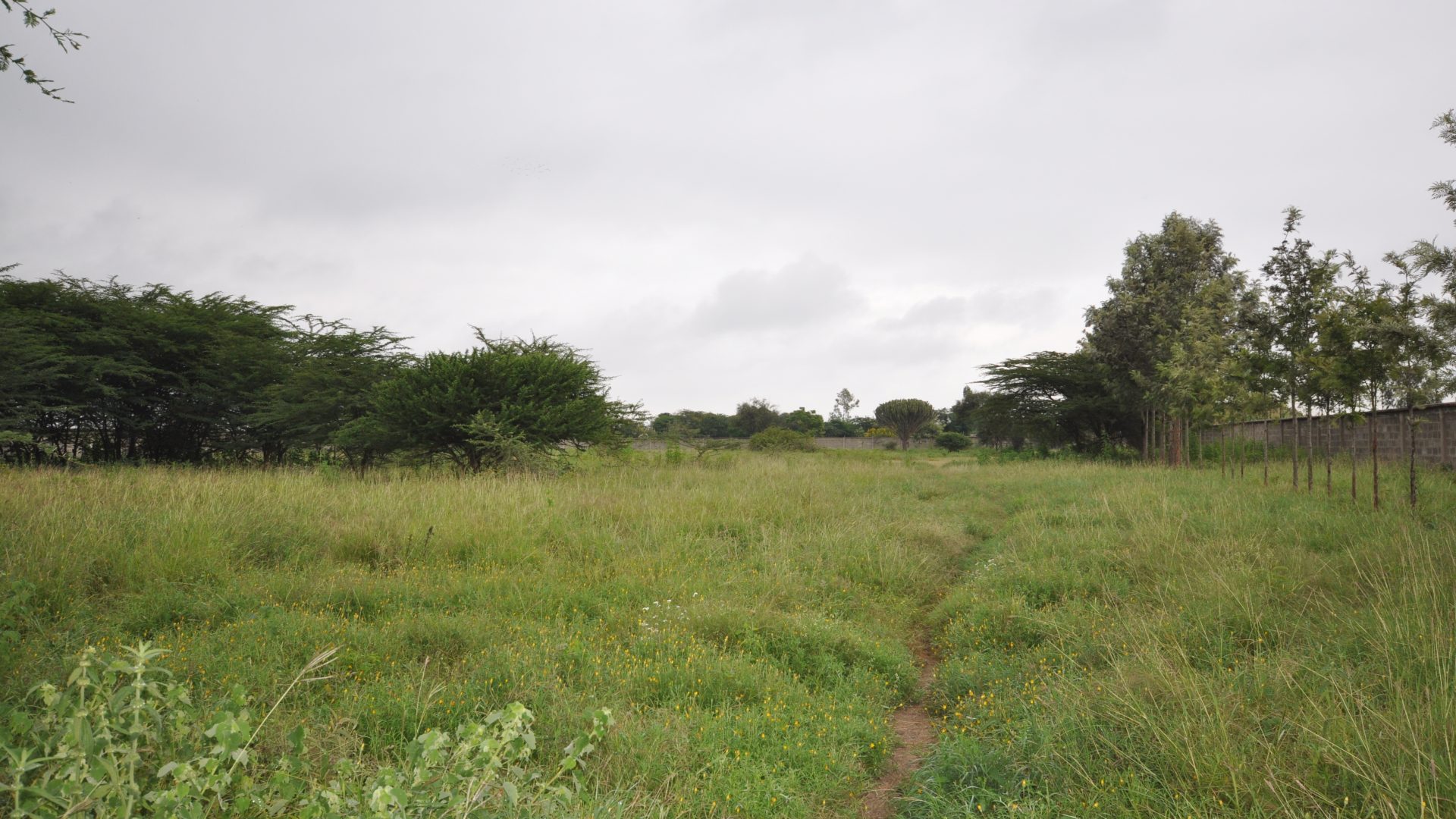 The 5.2 Acres of Land for Sale in Kisongo, Arusha by Tanganyika Estate Agents