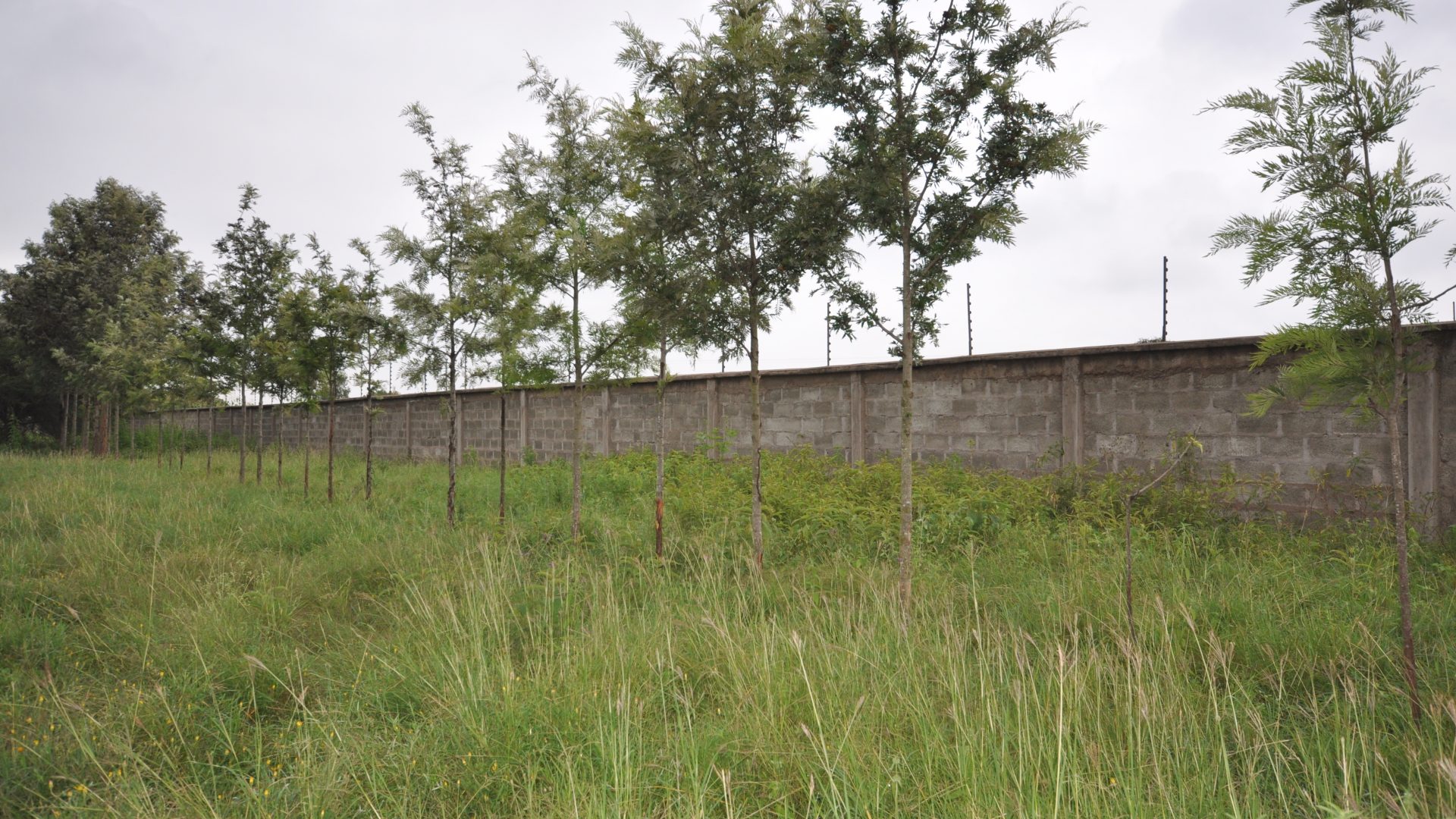 The 5.2 Acres of Land for Sale in Kisongo, Arusha by Tanganyika Estate Agents
