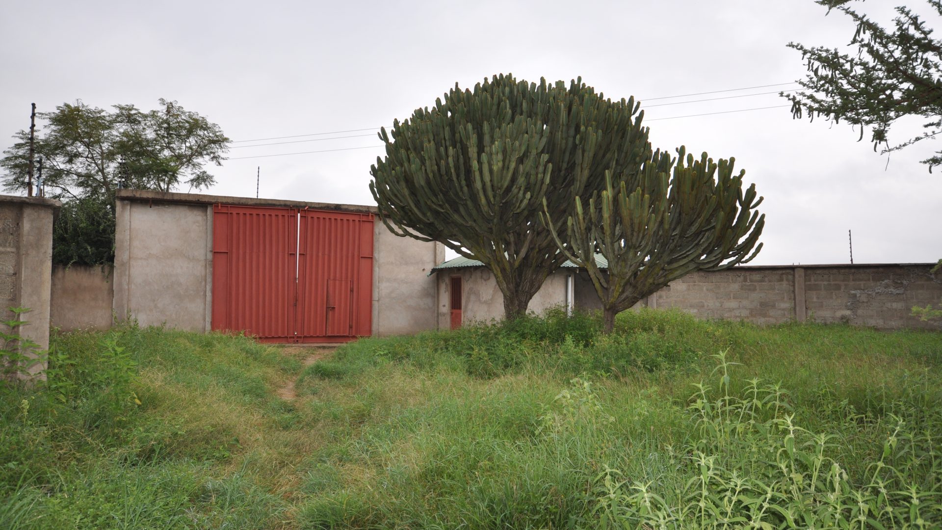 The 5.2 Acres of Land for Sale in Kisongo, Arusha by Tanganyika Estate Agents