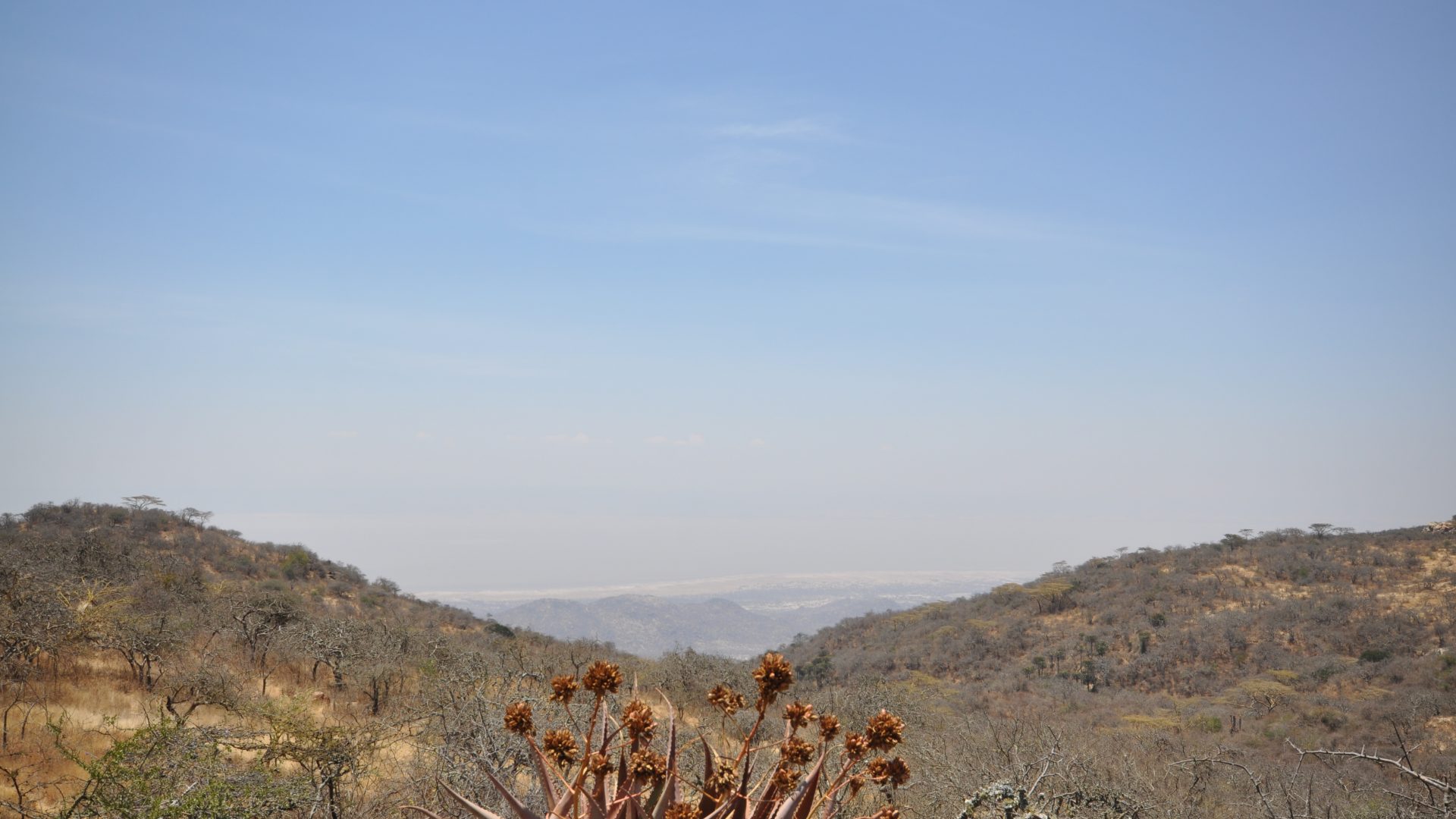 Land for Sale Overlooking Lake Eyasi