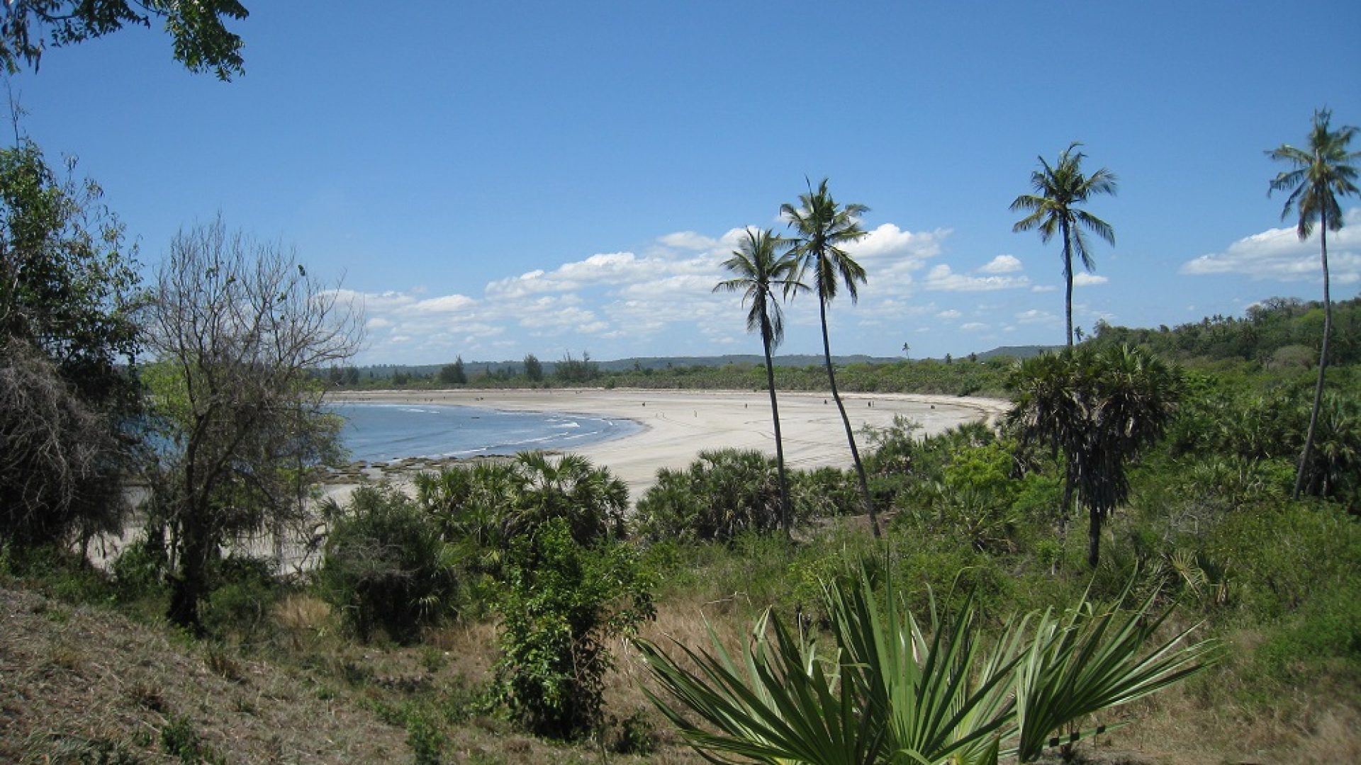 The View of the Ocean from the Land for Sale in Pangani Bay by Tanganyika Estate Agents