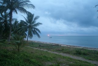 View of the Beach from the Land for Sale in Sange, Pangani by Tanganyika Estate Agents