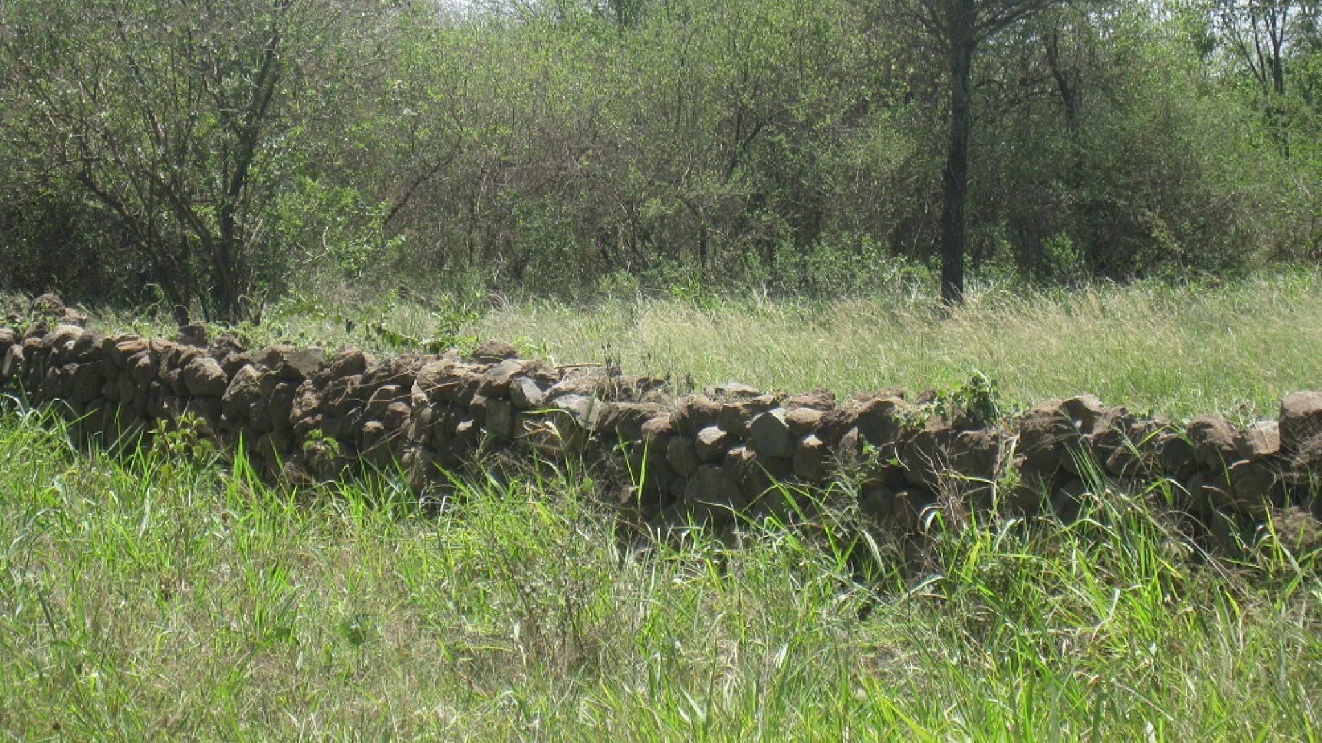 Land for Sale in Dolly Estate, Usa River