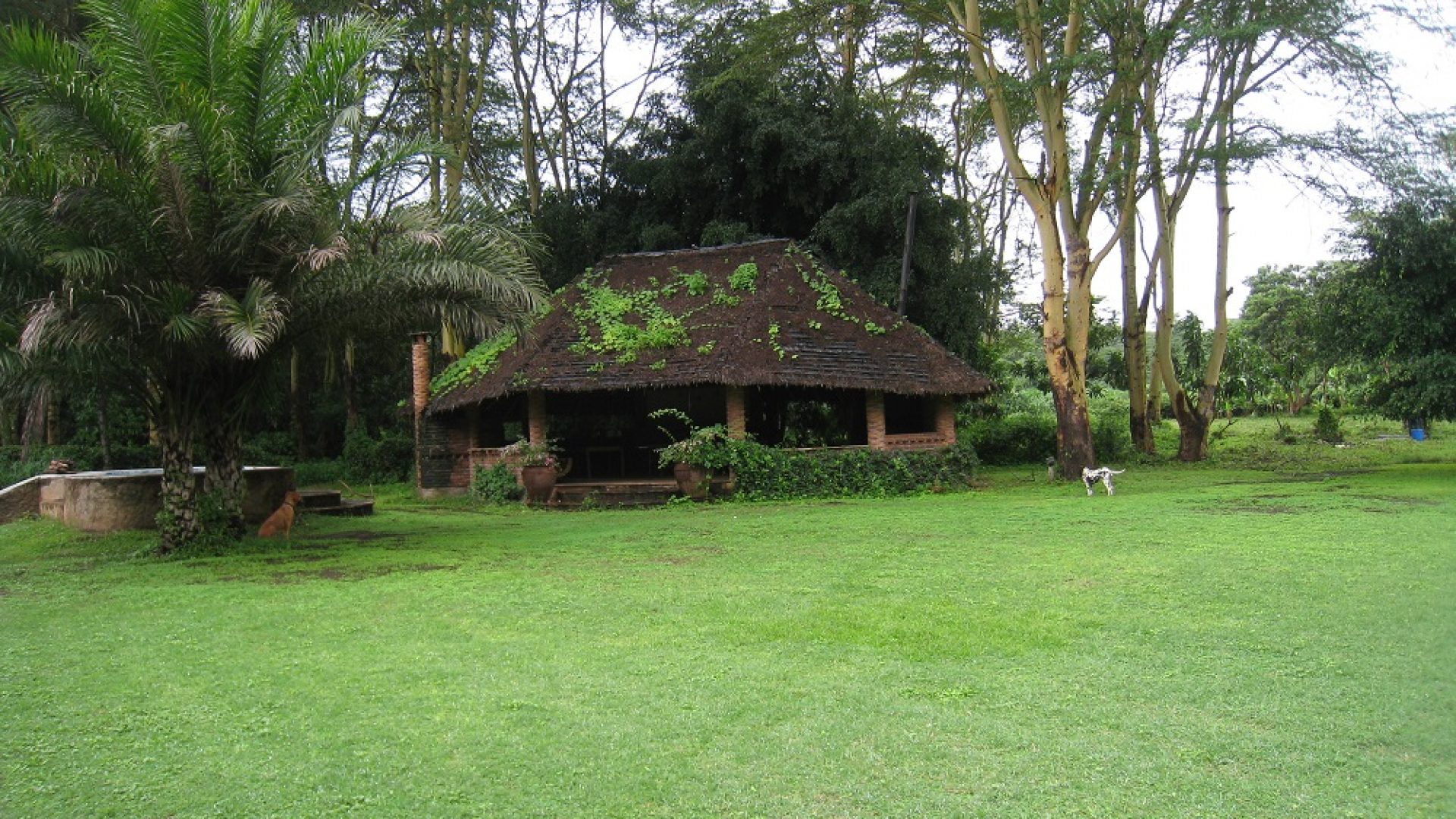 The Seven Bedroom Home in Olasiti, Arusha by Tanganyika Estate Agents