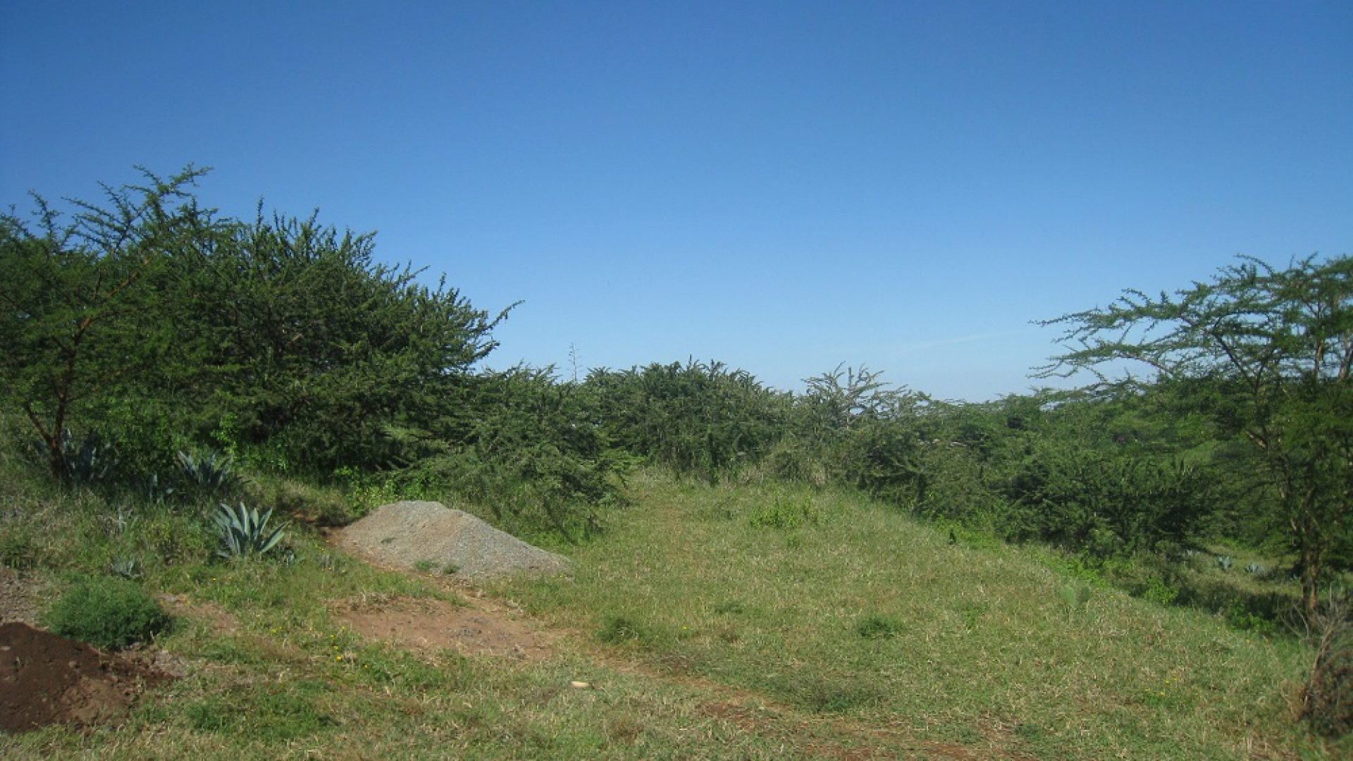 The View from the Land for Sale in Mateves, Arusha by Tanganyika Estate Agents