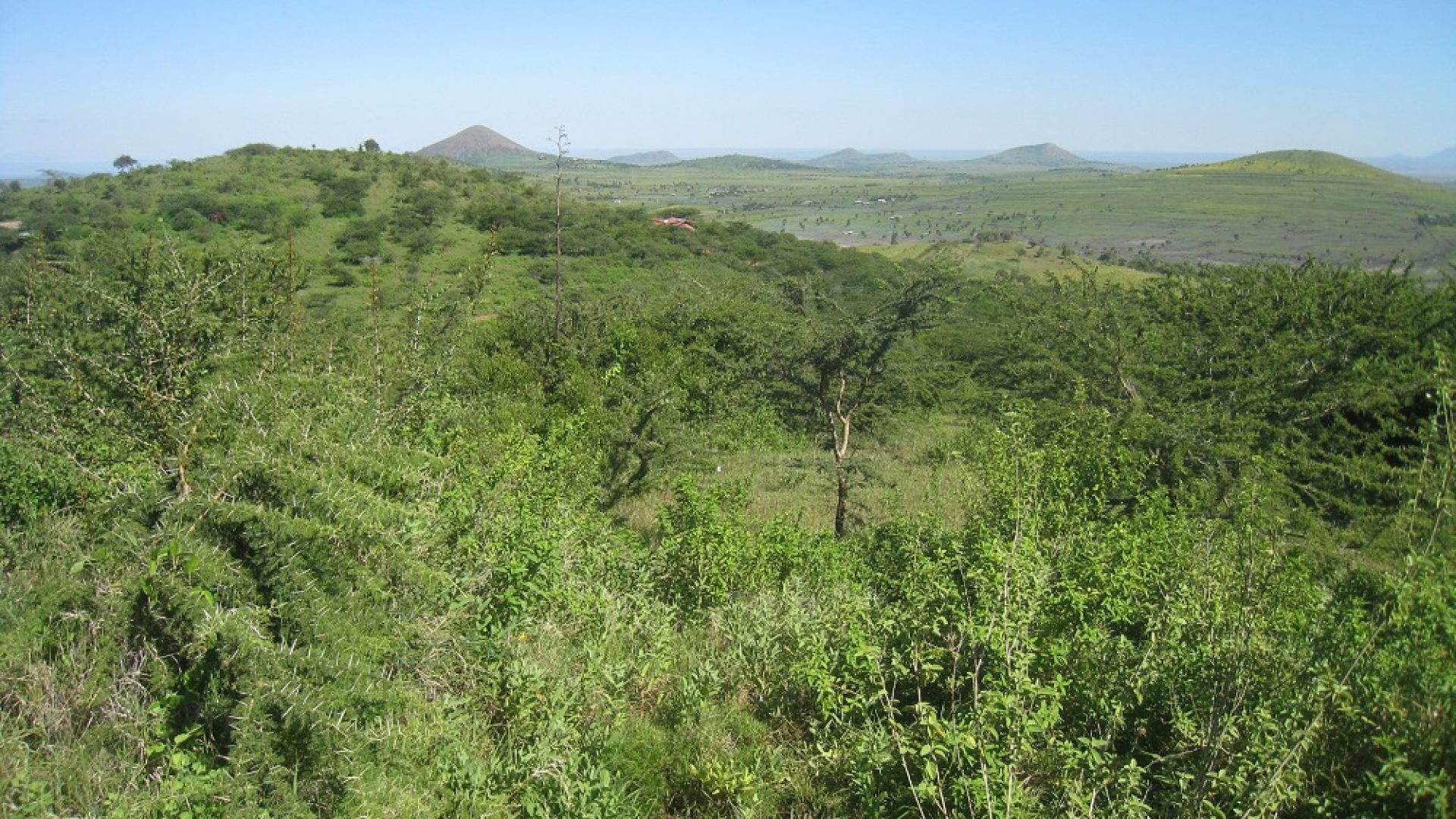 The View from the Land for Sale in Mateves, Arusha by Tanganyika Estate Agents