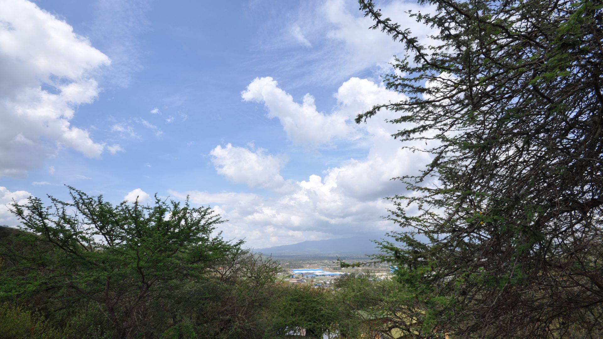 View from the 7 Bedroom Home for Sale in Mateves, Arusha by Tanganyika Estate Agents