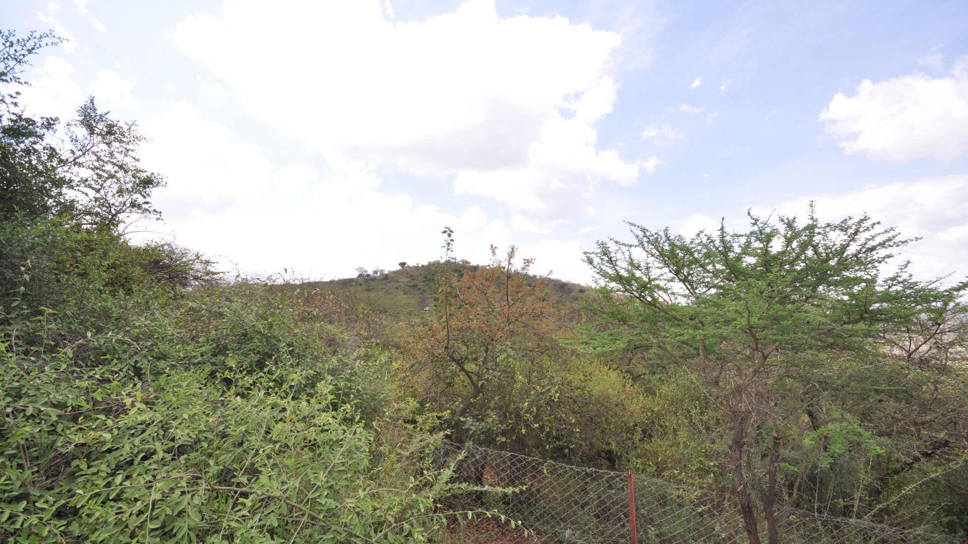 View from the 7 Bedroom Home for Sale in Mateves, Arusha by Tanganyika Estate Agents