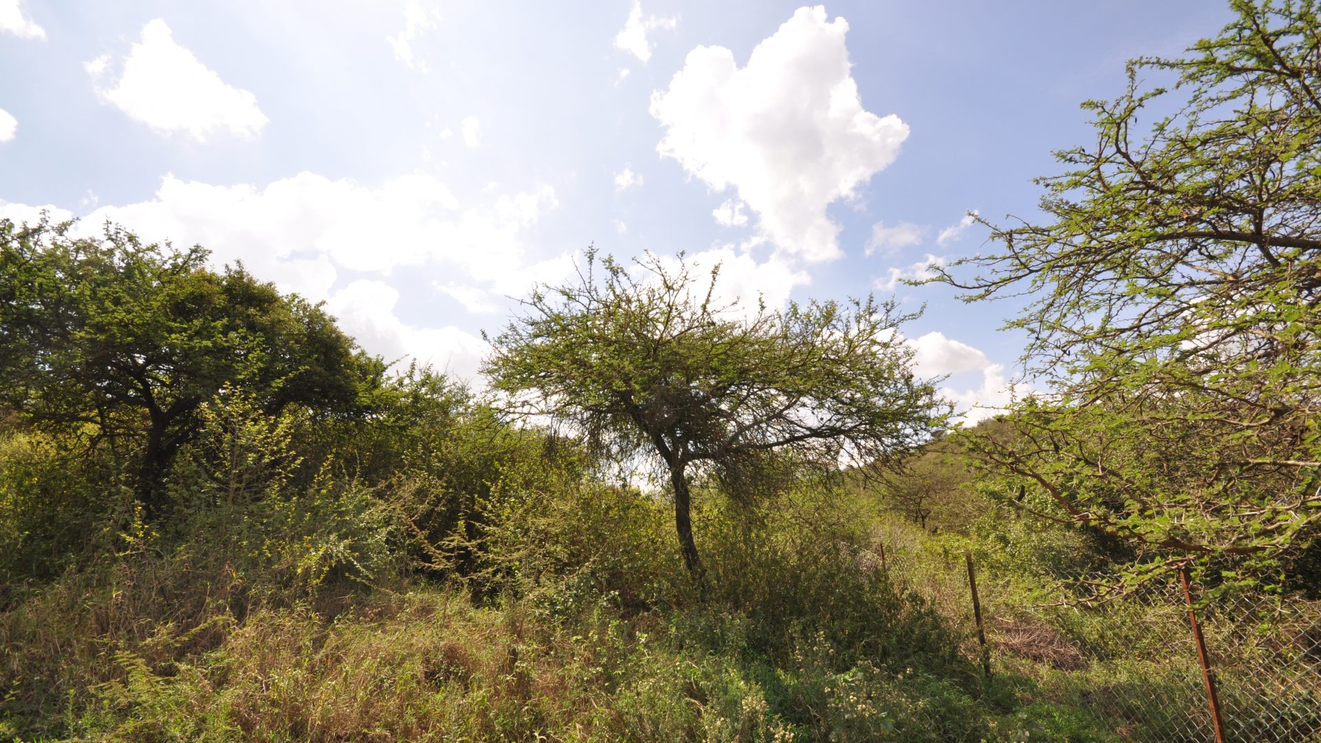 Land of the 7 Bedroom Home for Sale in Mateves, Arusha by Tanganyika Estate Agents
