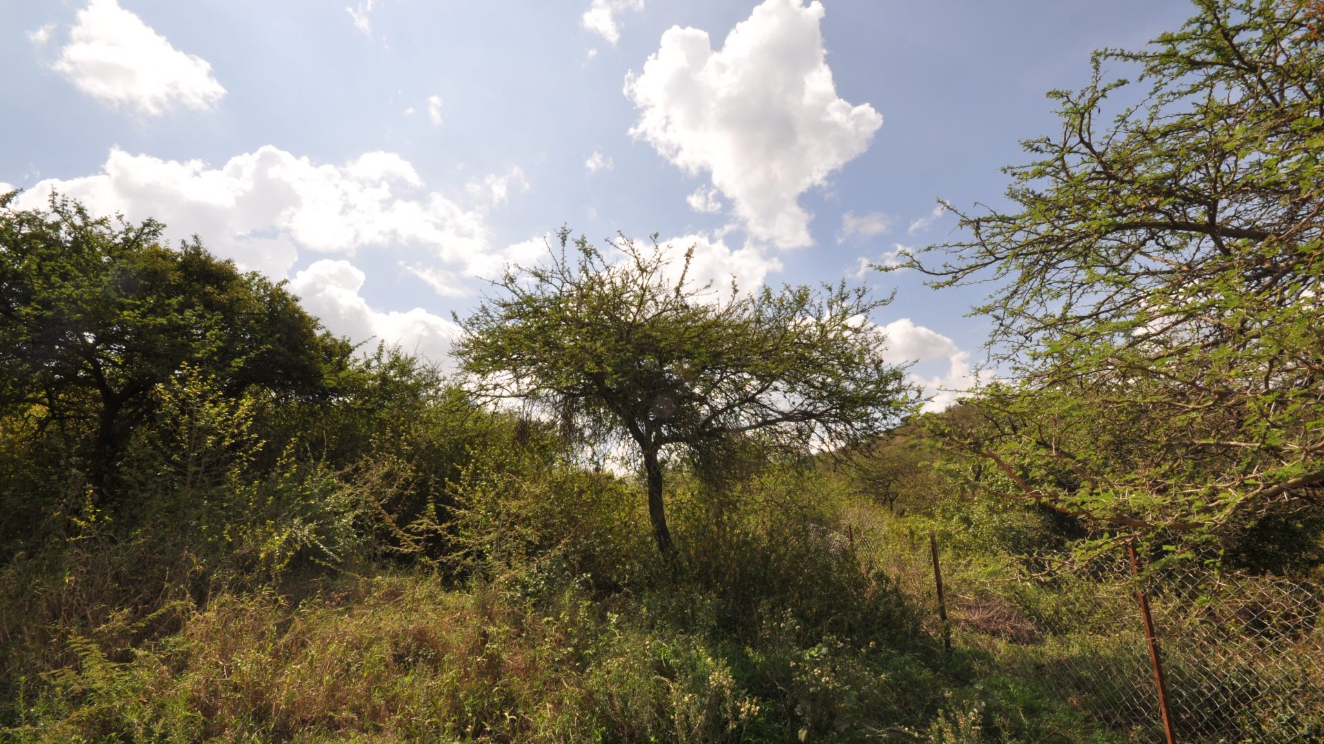 Land of the 7 Bedroom Home for Sale in Mateves, Arusha by Tanganyika Estate Agents