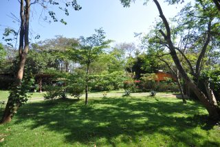 Part of the Garden of the 2 Bedroom Cottage for Sale in Sakina, Arusha by Tanganyika Estate Agents