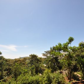 The View from the Four Acres for Sale Close to Onsea, Arusha by Tanganyika Estate Agents