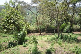 The Four Acres for Sale Close to Onsea, Arusha by Tanganyika Estate Agents