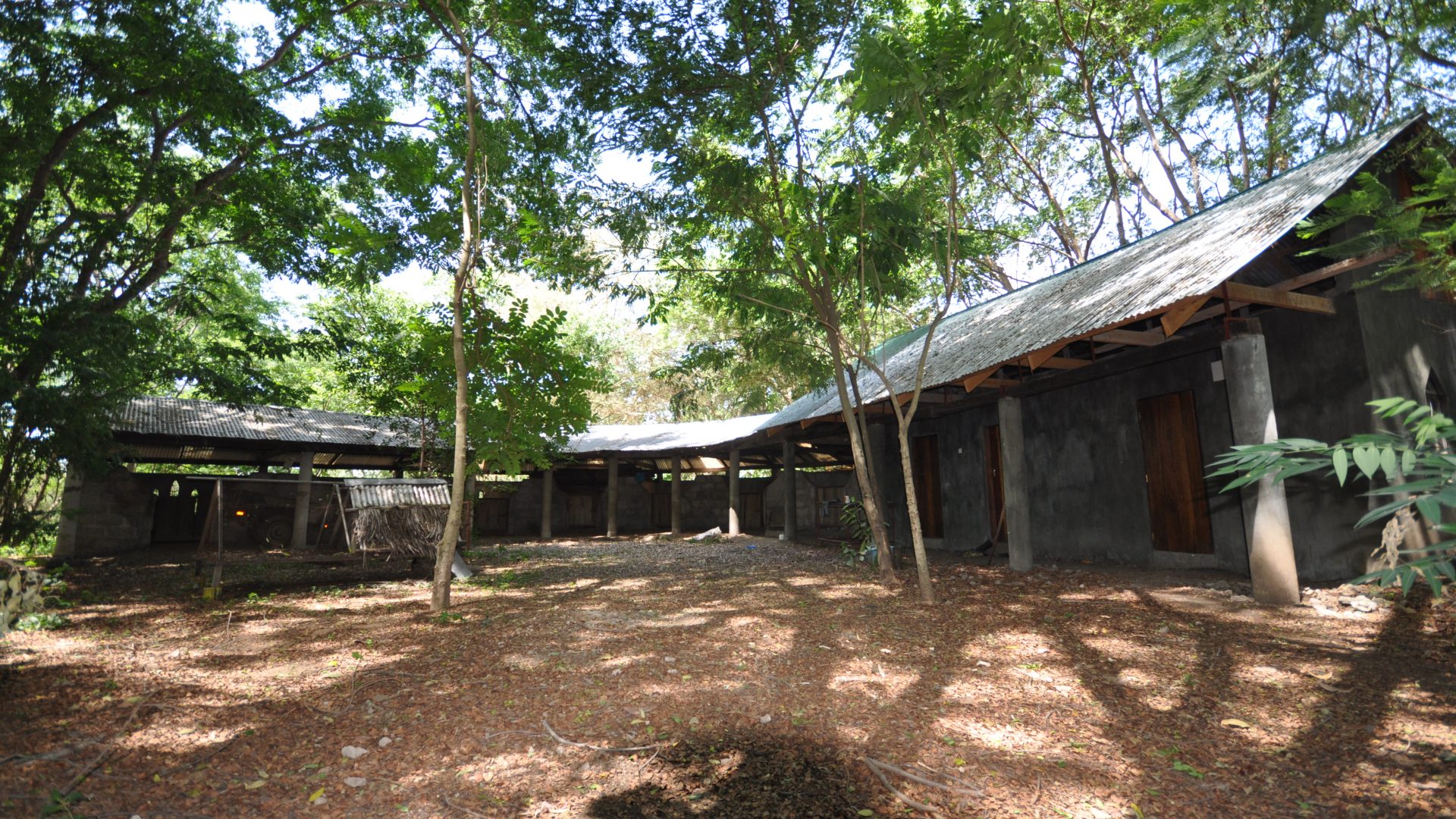 Back of the 5 Bedroom Cottage for Sale in Usa River, Arusha by Tanganyika Estate Agents
