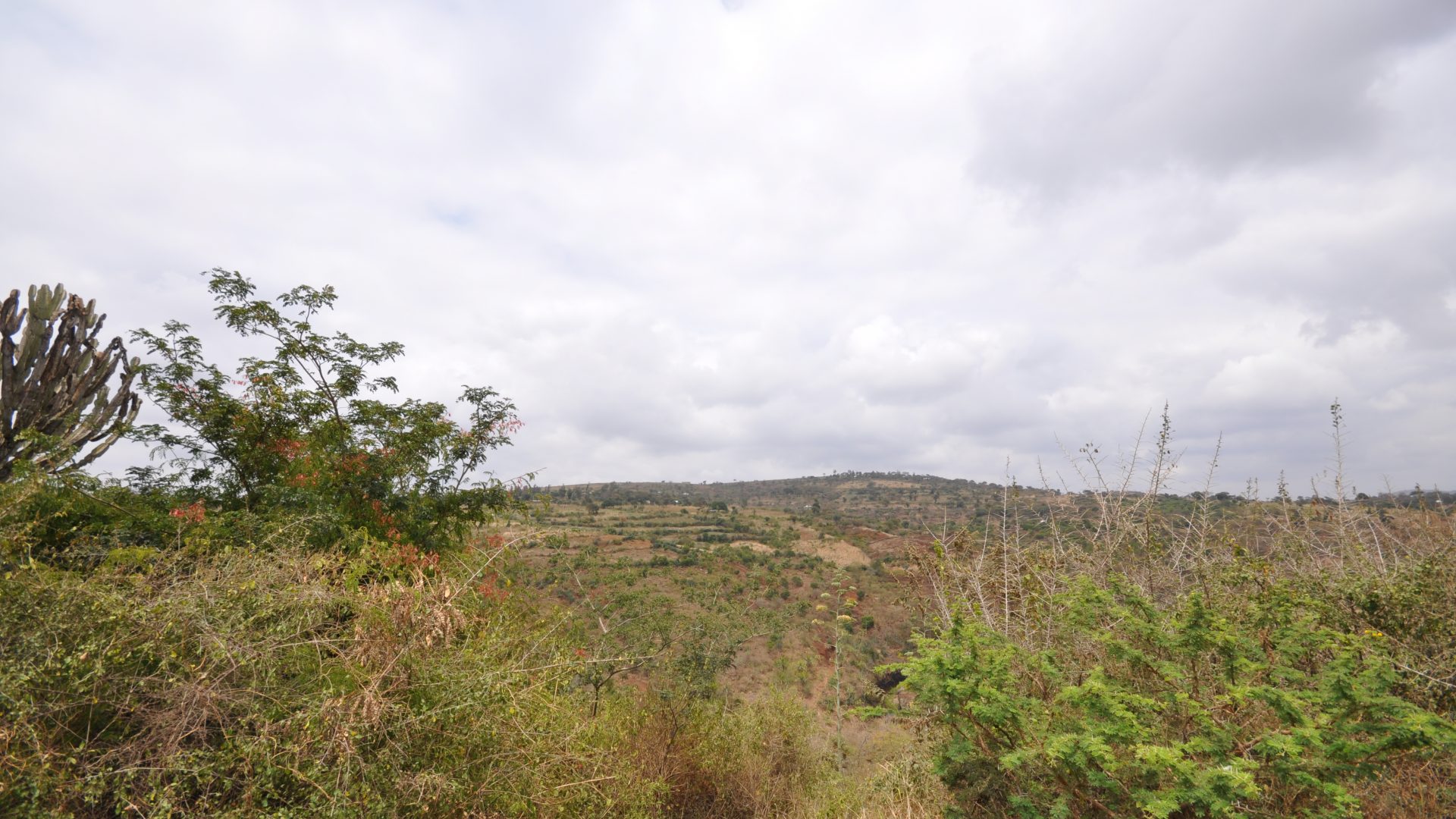 Land of the 2 Bedroom Home for Sale in Olasititi, Arusha by Tanganyika Estate Agents