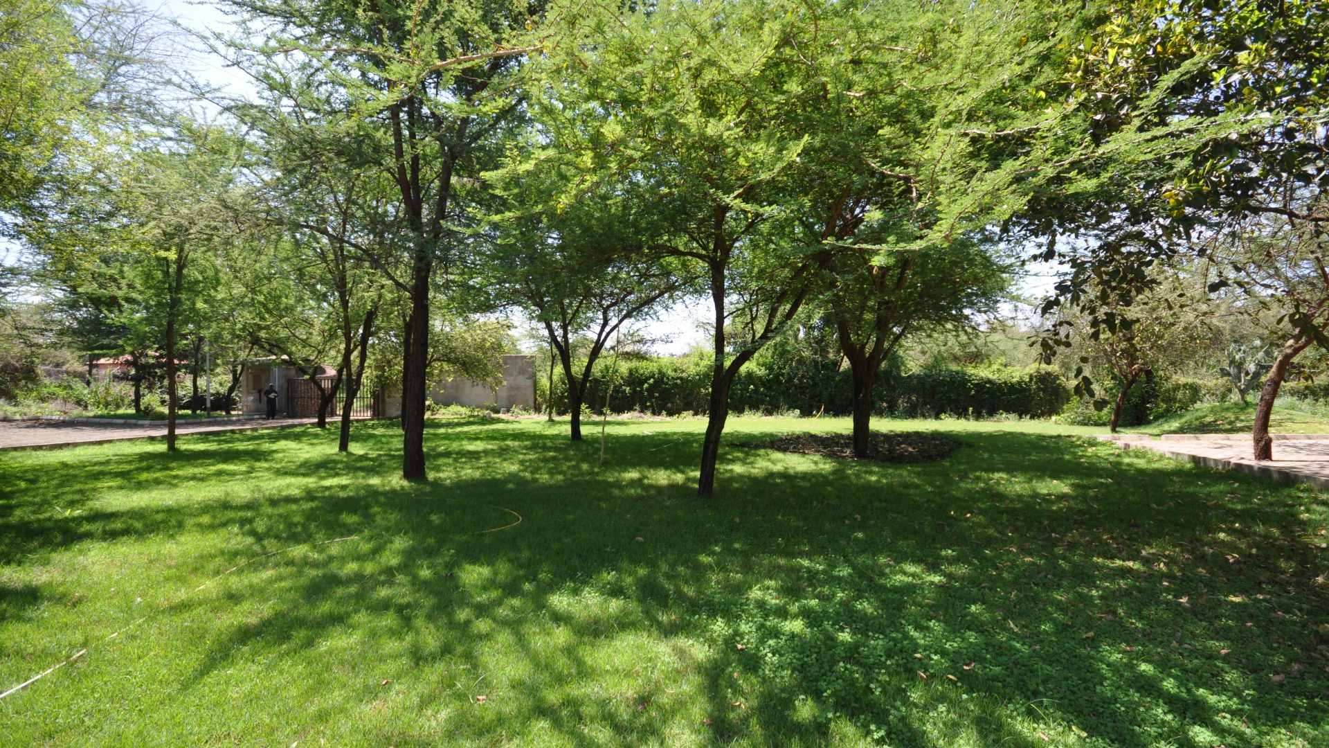 Lush & Green Lawn of the Commercial Property for Rent in Usa River, Arusha by Tanganyika Estate Agents