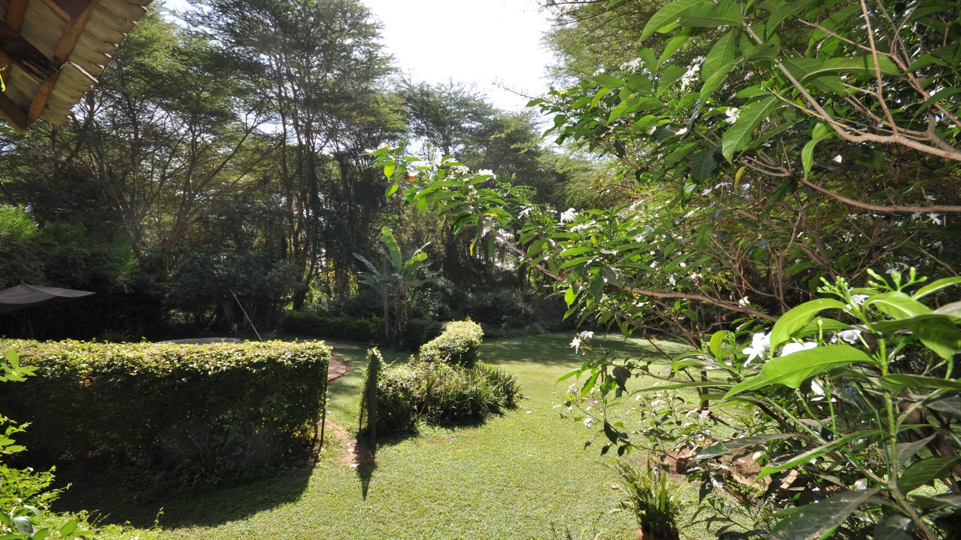 Six Bedroom House for Sale in Olasiti, Arusha