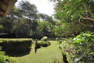Lawn of the 6 Bedroom House for Sale in Olasiti, Arusha by Tanganyika Estate Agents