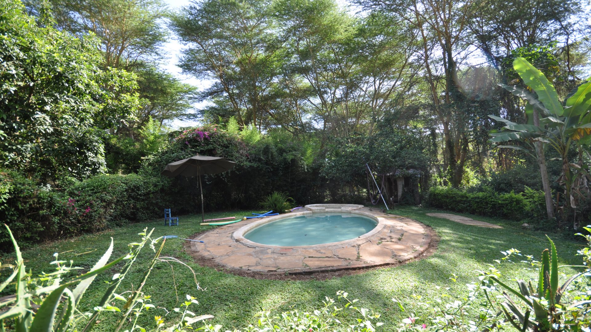 Swimming Pool of the 6 Bedroom House for Sale in Olasiti, Arusha by Tanganyika Estate Agents