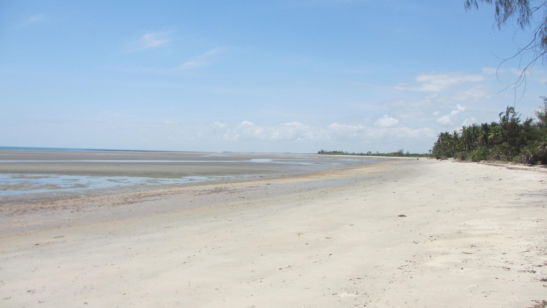 Mkwaja – 54 acres – Beach to Saadani road