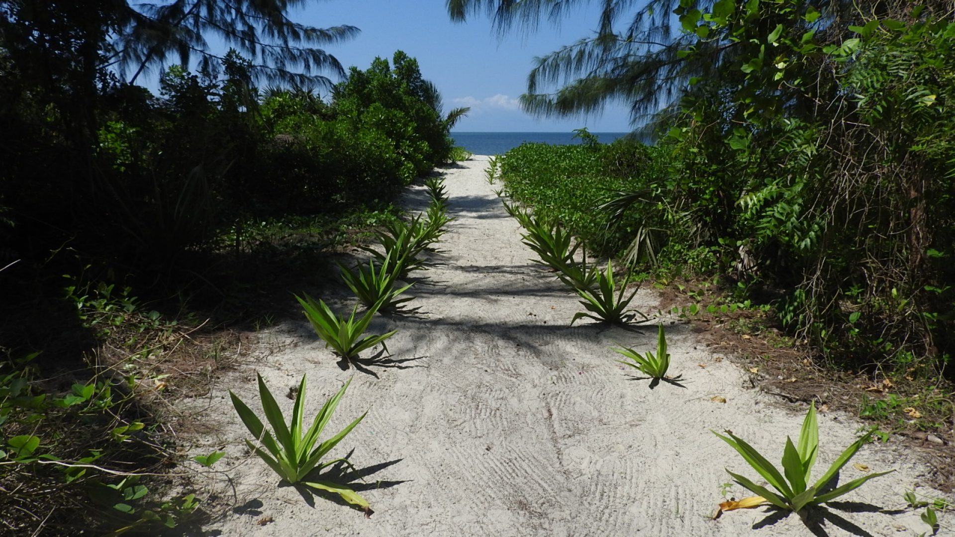 Ushongo Beach – Quiet adjoining properties