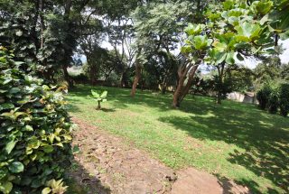 The Lawn of the Five Bedroom House in Themi Hill, Arusha by Tanganyika Estate Agents