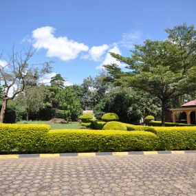 The Garden of the Rental Stand Alone Home by Tanganyika Estate Agents