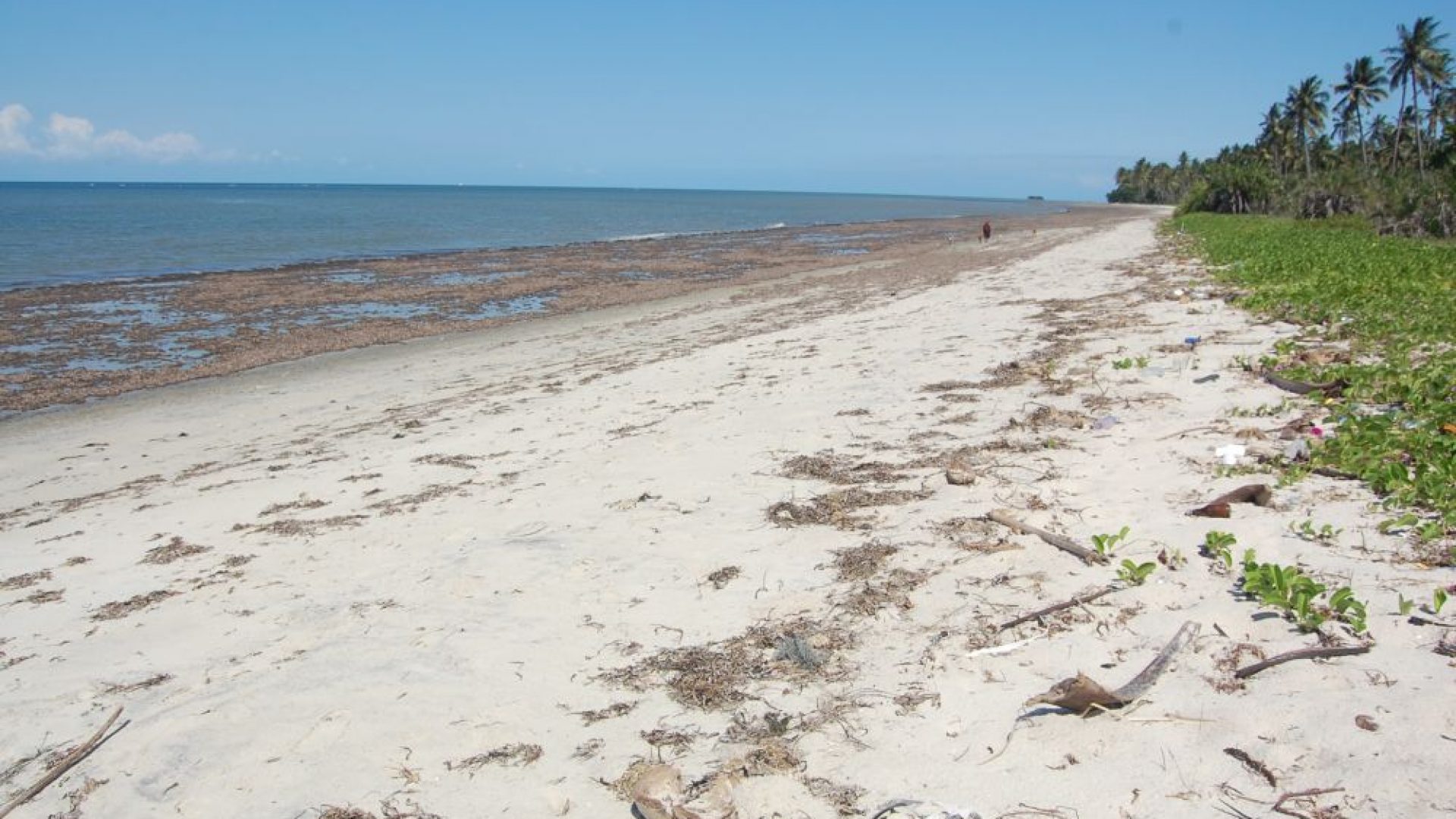 Sange – 24 acres on the beach