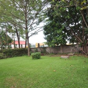 A Lawn of the Three Bedroom Furnished Cottages in Njiro by Tanganyika Estate Agents