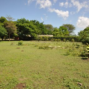 Land of the 3 Bedroom House for Sale West Of Arusha by Tanganyika Estate Agents