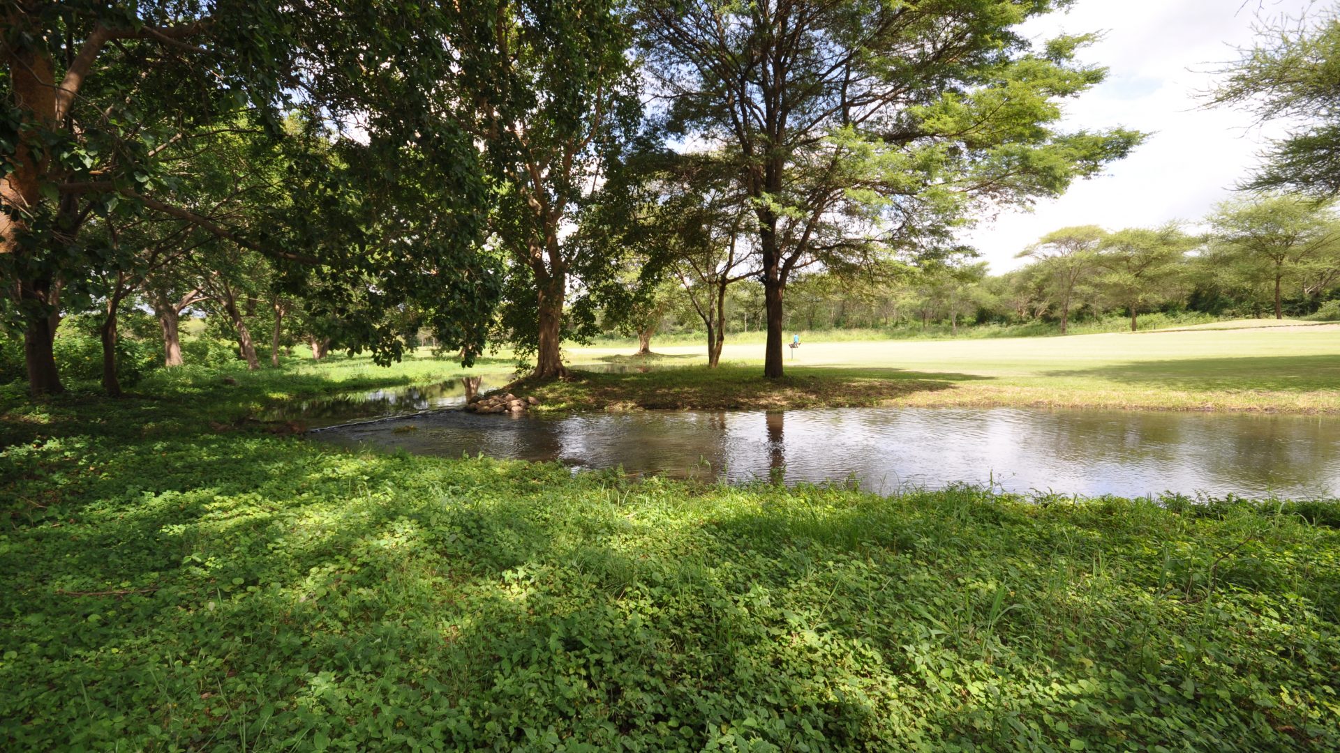 Stream running through the Property of the Three Bedroom House for Sale in Kili Golf by Tanganyika Estate Agents