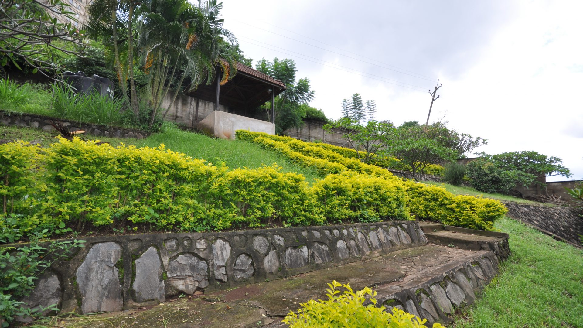 Part of the Garden of the 4 Bedroom Home for Sale in Njiro, Arusha by Tanganyika Estate Agents
