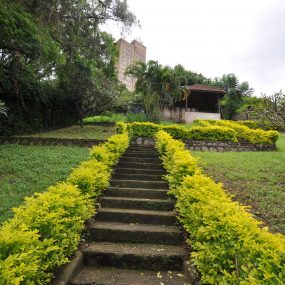 Garden & Staircase of the 4 Bedroom Home for Sale in Njiro, Arusha by Tanganyika Estate Agents
