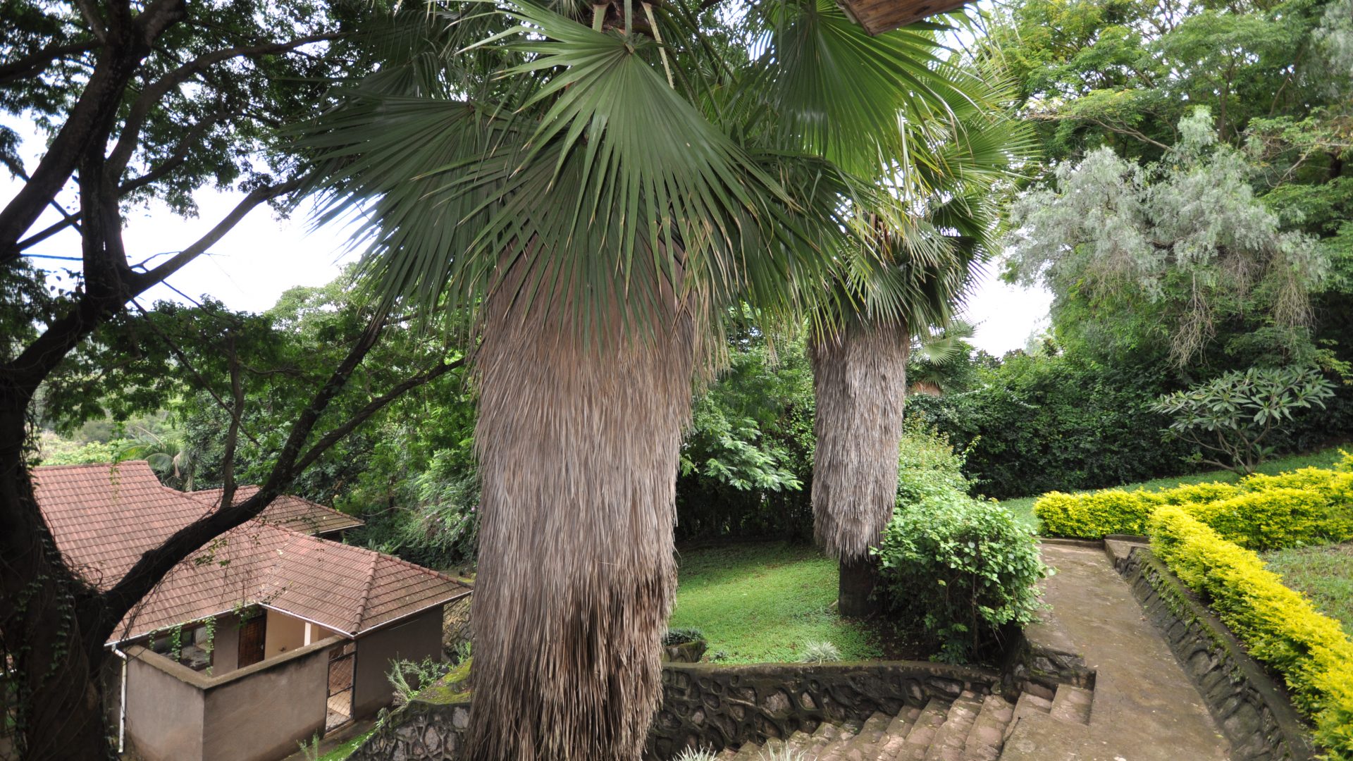 Garden of the 4 Bedroom Home for Sale in Njiro, Arusha by Tanganyika Estate Agents