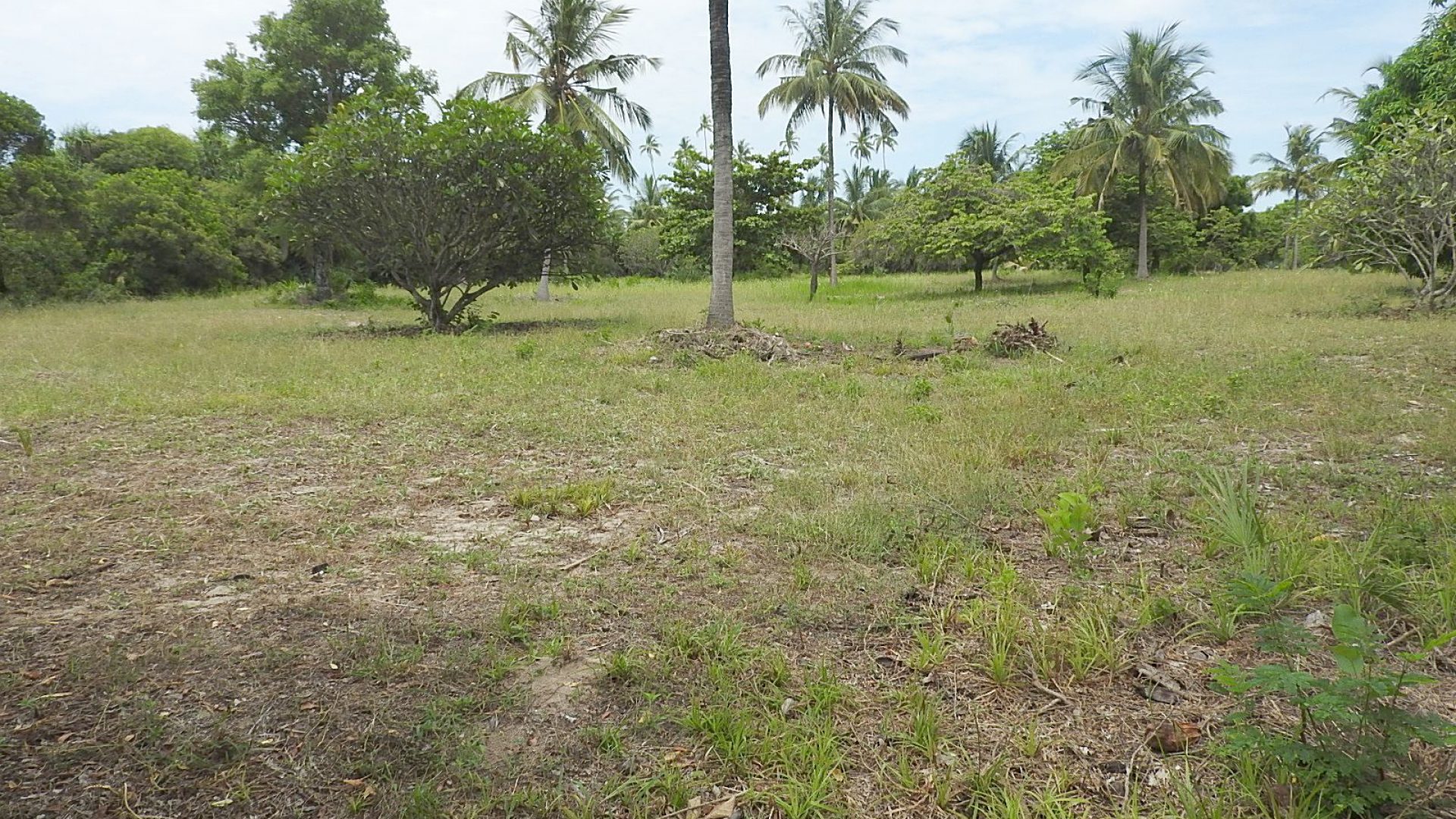 The Beachfront Property for Sale in Mwarongo by Tanganyika Estate Agents