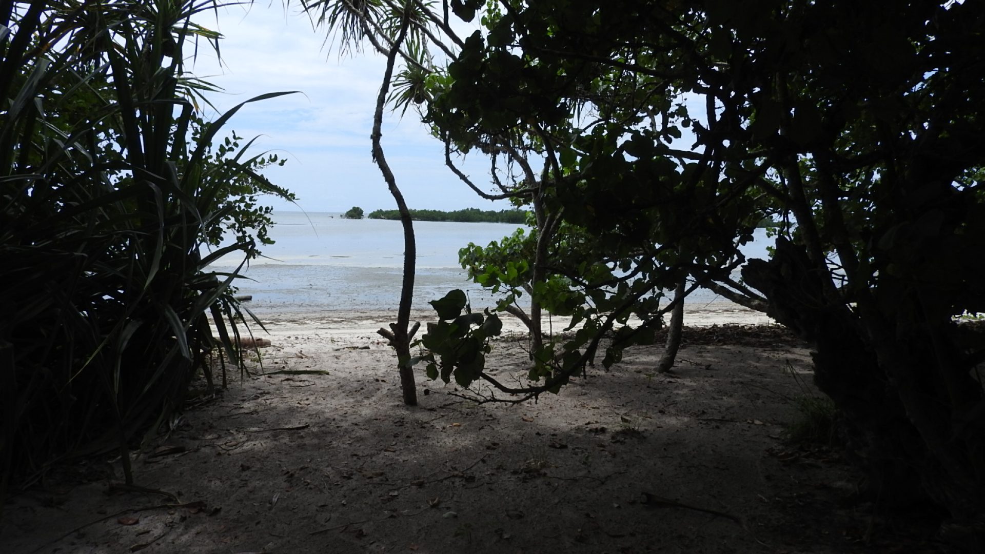 Mwarongo – 6 acre beachfront property