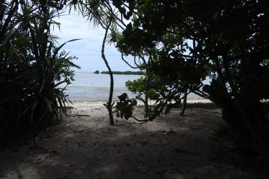 Mwarongo – 6 acre beachfront property