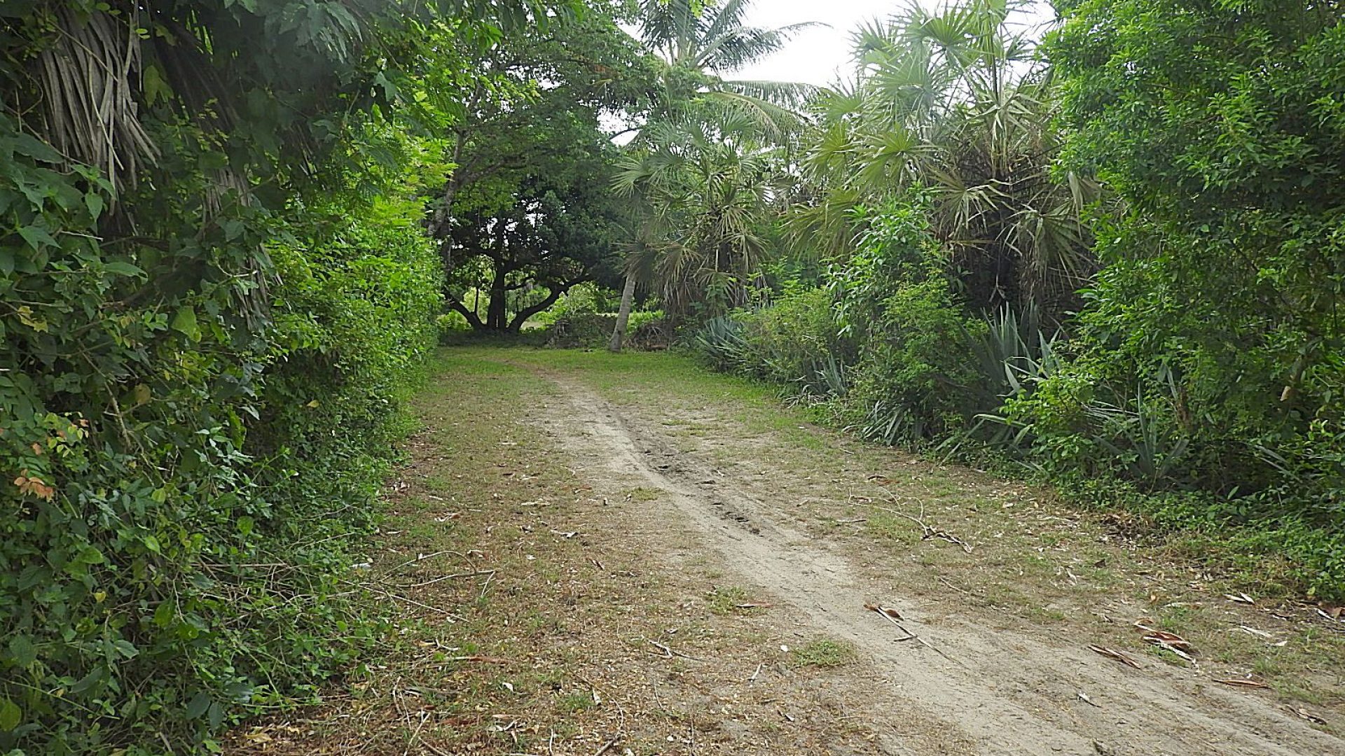 The Beachfront Property for Sale in Mwarongo by Tanganyika Estate Agents