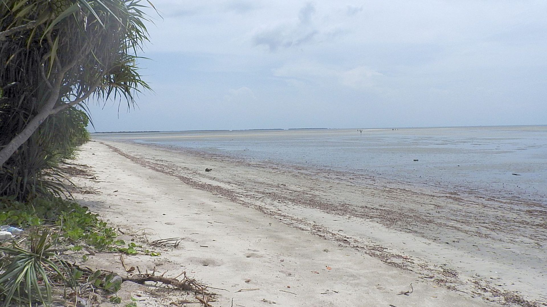The Beach on the Beachfront Property for Sale in Mwarongo by Tanganyika Estate Agents