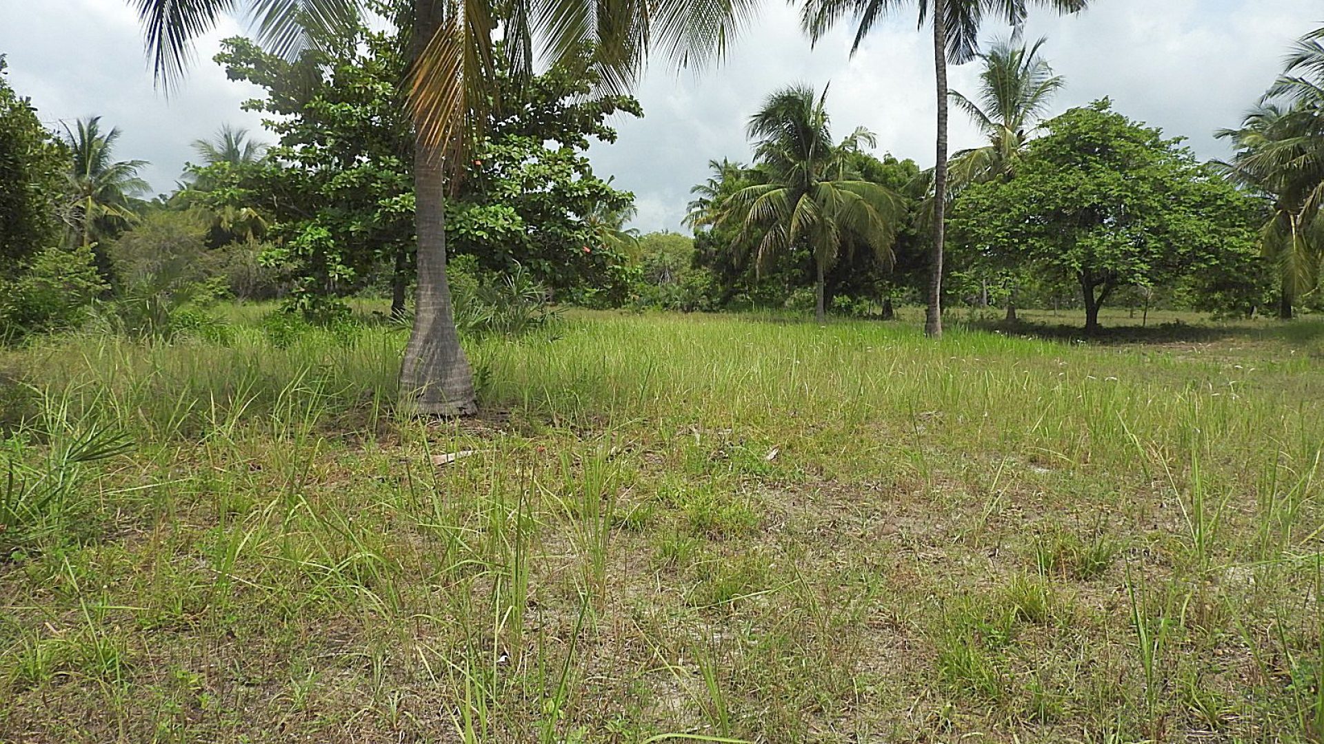 The Beachfront Property for Sale in Mwarongo by Tanganyika Estate Agents