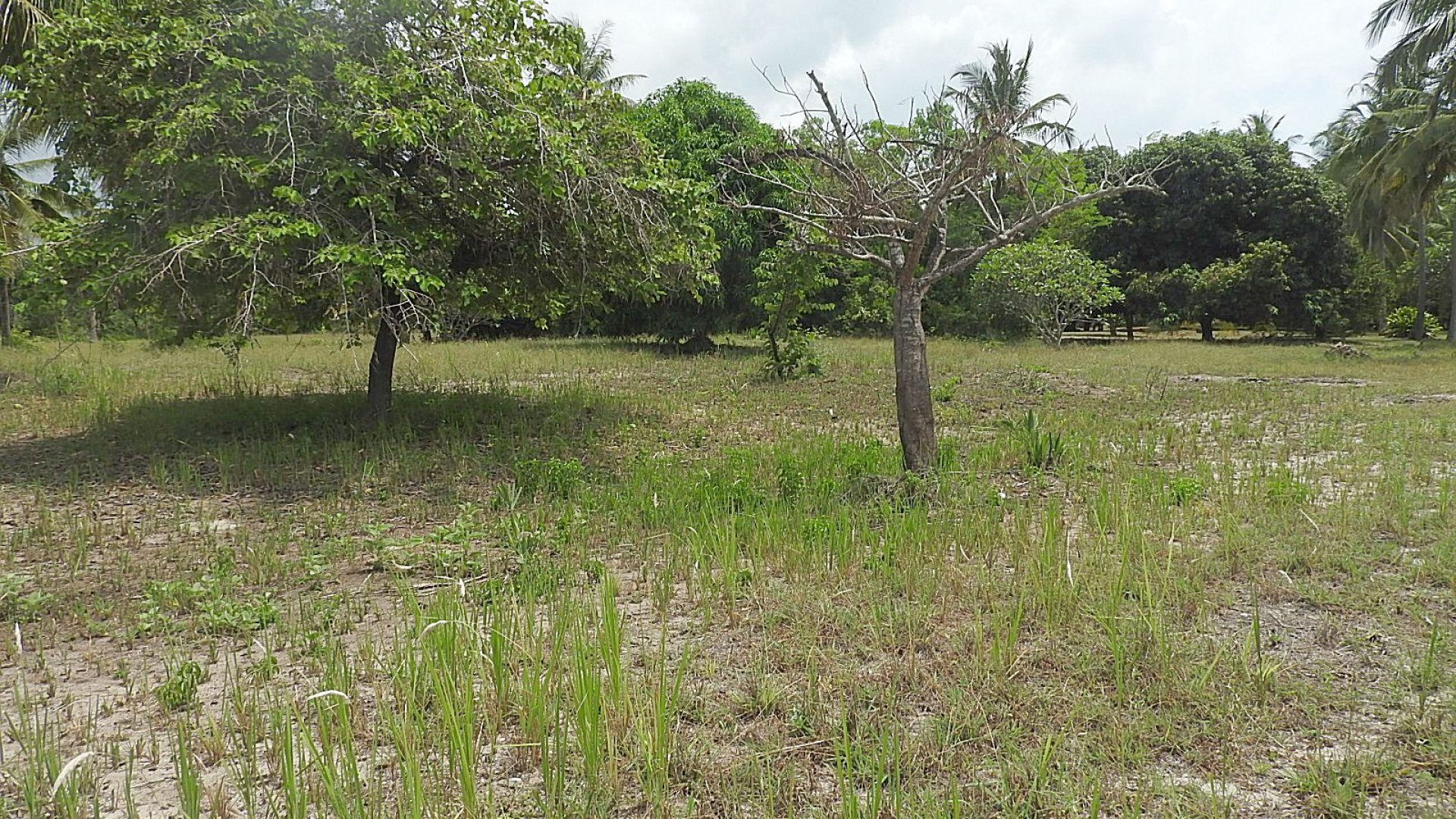The Beachfront Property for Sale in Mwarongo by Tanganyika Estate Agents
