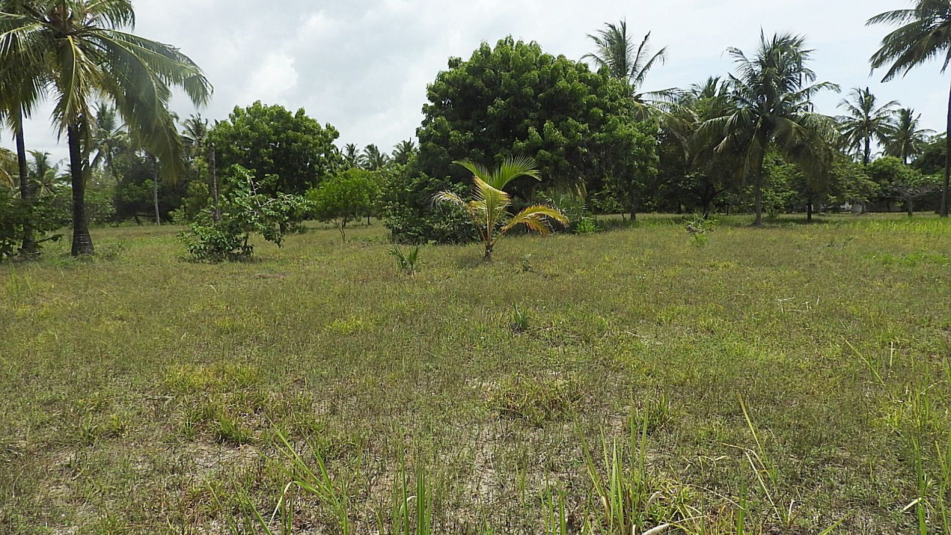 The Beachfront Property for Sale in Mwarongo by Tanganyika Estate Agents